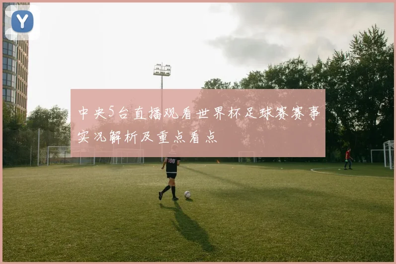 中央5台直播观看世界杯足球赛赛事实况解析及重点看点