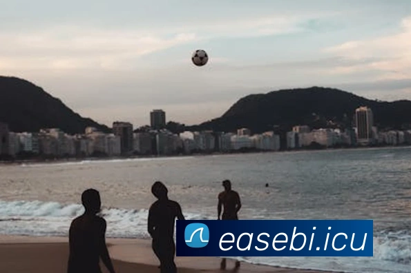 App Interface Preview